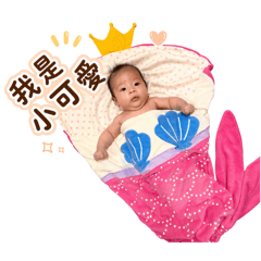 滾滾丨丨小可愛出沒