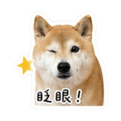YUKO日常用