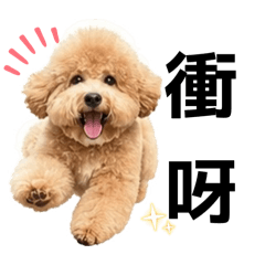 咪那醬