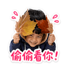 圓仔底迪生活日常