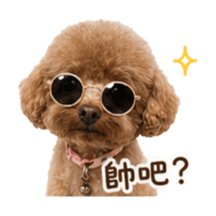 朱妮妮