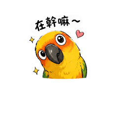 布丁日常 超萌鸚鵡貼圖（金太陽）