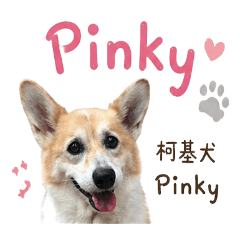Pinky Wu｜汪的貼圖 part.1
