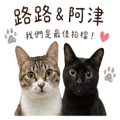 路路&阿津｜喵的貼圖