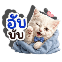 Kwanchanok_20260427231633