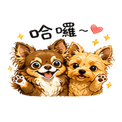 厭世又可愛！吉娃娃皮蛋×約克夏歐力