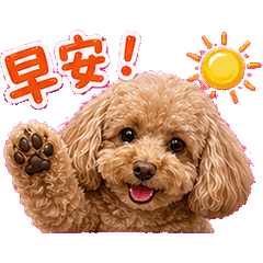 貴賓狗狗*貼圖
