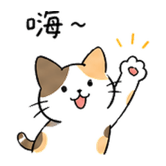 慵懶小貓：生活常用2