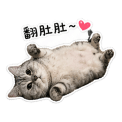 曼次肯 - 囧囧