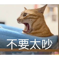 畢小鈞日常2 有夠派