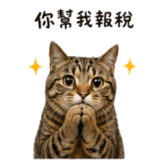 宅貓萬萬稅