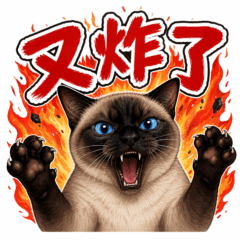 心累貓貓＿工程師篇