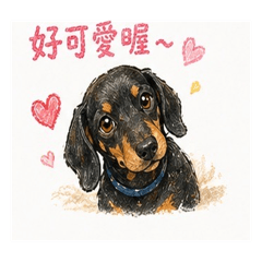 The daily life of a healing dachshund