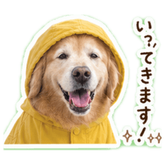 peanuts_20260429132615