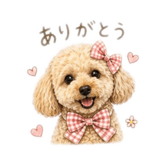 Lilly_20260429132000
