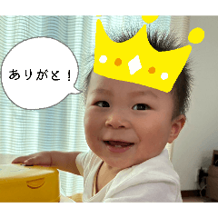 yu17_20260429134209
