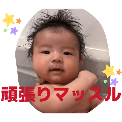 chibinoridar_20260429132701