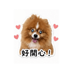 我是酷比！