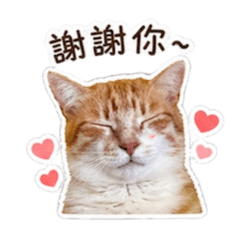 生活用語♾️