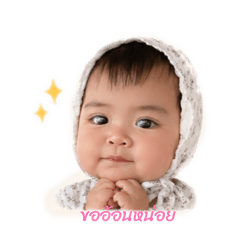 varin_20260427231923