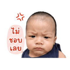 Nee_20260427232504
