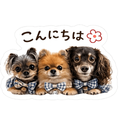 shiroko72_20260429140425