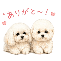 stin_20260429142313