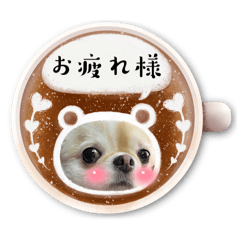 ai.rena_20260429142228