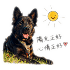 米克斯灰ㄊㄨㄚˇ