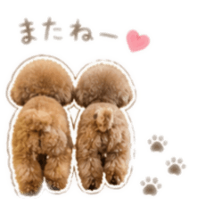kakao_20260429142628