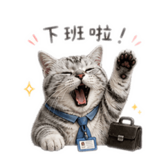 喵喵工作篇