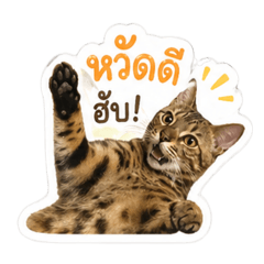 Chocky_20260427233322