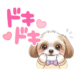 melon_20260429135545