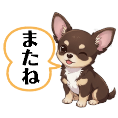 melon_20260429140411