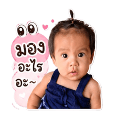 Wanmai PhaPlearn_20260427232458