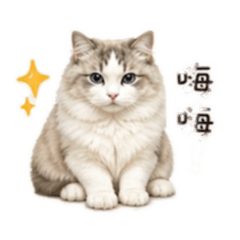 歐 元