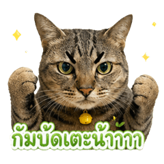 Kawinthra_20260429123202