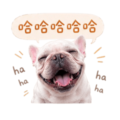 寶珠的生活日常