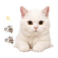 圓ㄉ 平常用語系列3.0