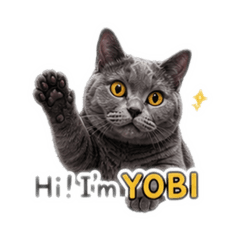 YOBI小寶寶2