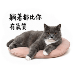 傲嬌阿比2