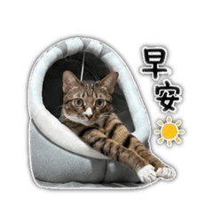 ㄎㄨㄥˋㄖㄡˋ5