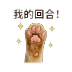 逗&珠