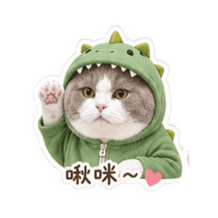 Q小寶的日常