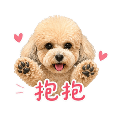 Yuanyuan ♡