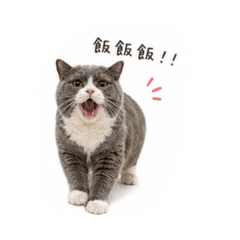 大胃王弟弟1