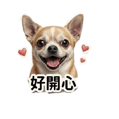 吉娃娃吉度日常