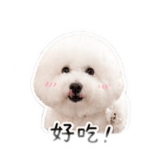 巧維尼