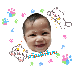 Premier_20260427234827