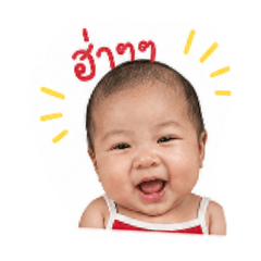 AomSp_20260428000129